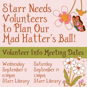 Volunteer Interest M